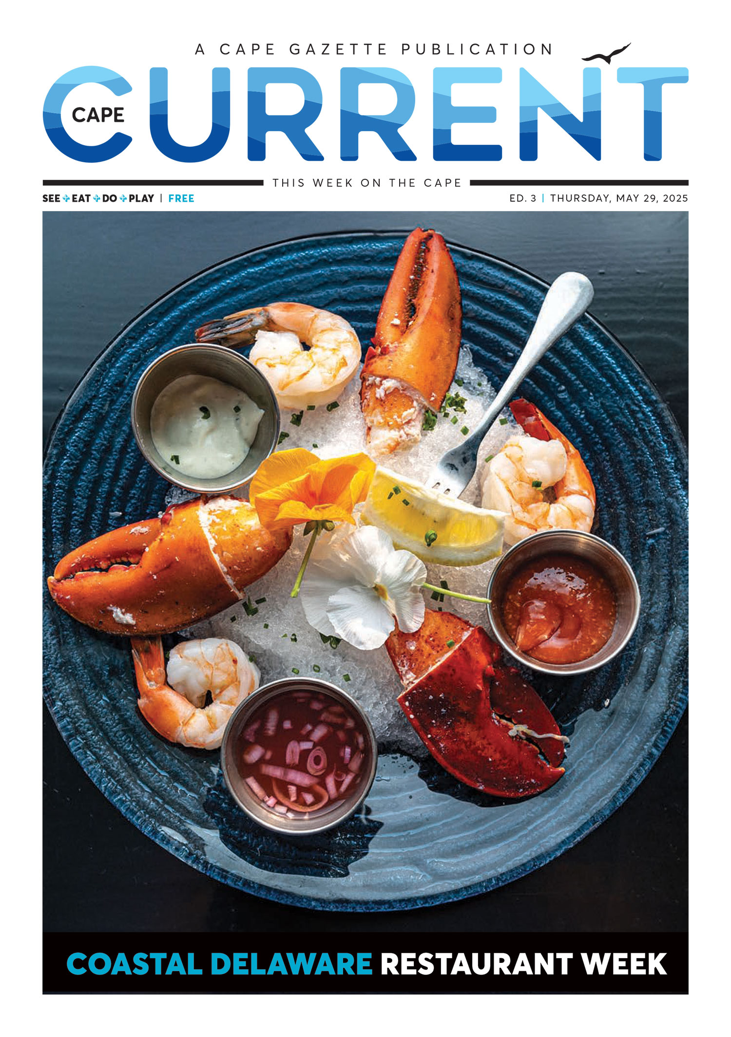 Issue Archive - The Cape Current
